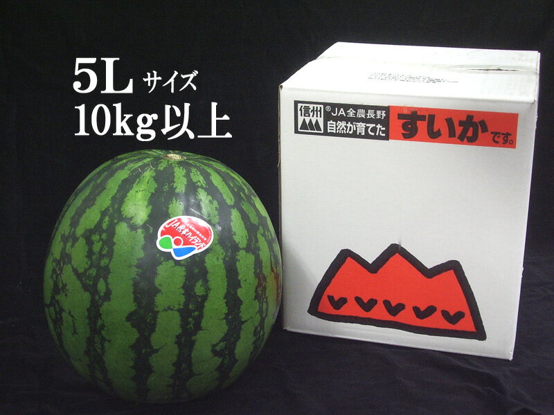 長野ハイランド　すいか（スイカ・すいか・西瓜）　大きなスイカ　5Lサイズ！　到着したらびっくり！　スイカパーティーやっちゃおう！のサムネイル