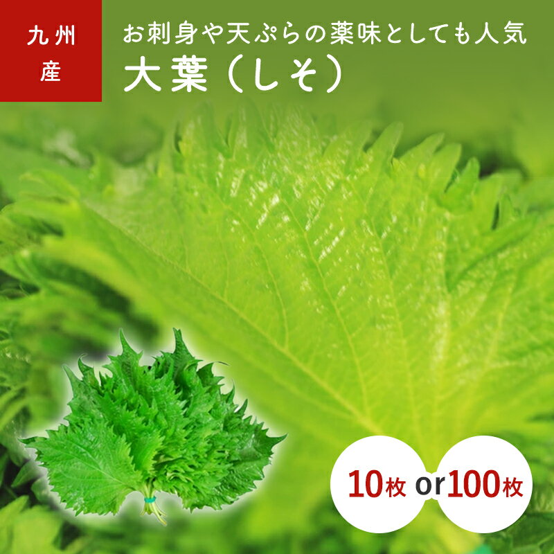 大葉（しそ）　1束(10枚）　1パック(100枚)　大分・九州産