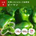 ピーマン(ぴーまん) 130g 500g 1箱(約4kg) 九州産・鹿児島・宮崎・熊本産