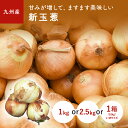 玉葱(たまねぎ) 1kg 2.5kg 1箱(10kg) 九州産・佐賀・長崎