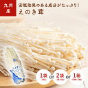 えのき茸(エノキ) 1袋(100g) 2袋 1箱(60袋) 九州産・大分・長崎・福岡