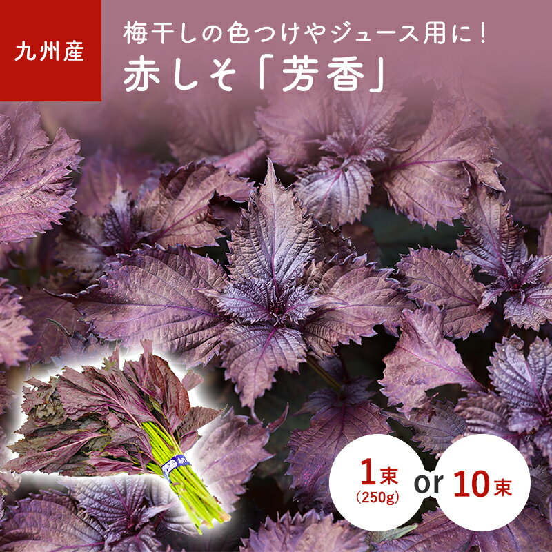 九州産　赤しそ（赤じそ・赤シソ・