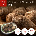 里芋(さといも)1kg 2kg 1箱(10kg) 九州産・宮崎産・熊本産・大分産