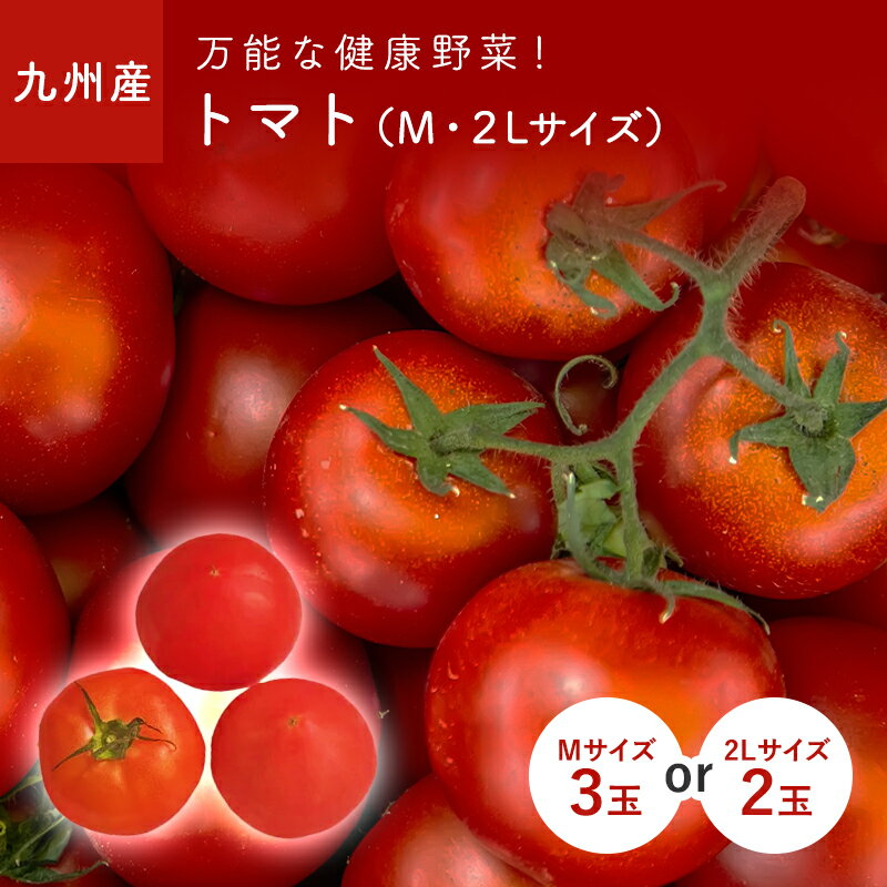 【最大7％OFFクーポン！5/16 9:59迄】 とまと（トマト）　2Lサイズ×2玉　Mサイズ×3玉　九州・熊本・福岡産のサムネイル