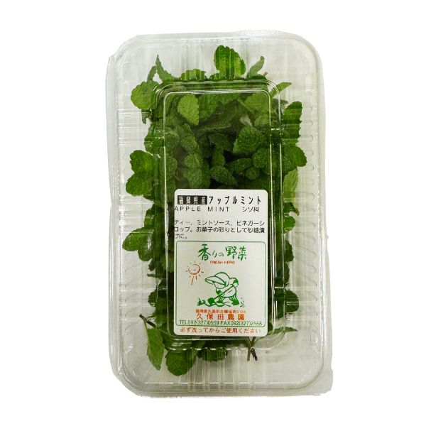 アップルミント 1パック《ハーブ》