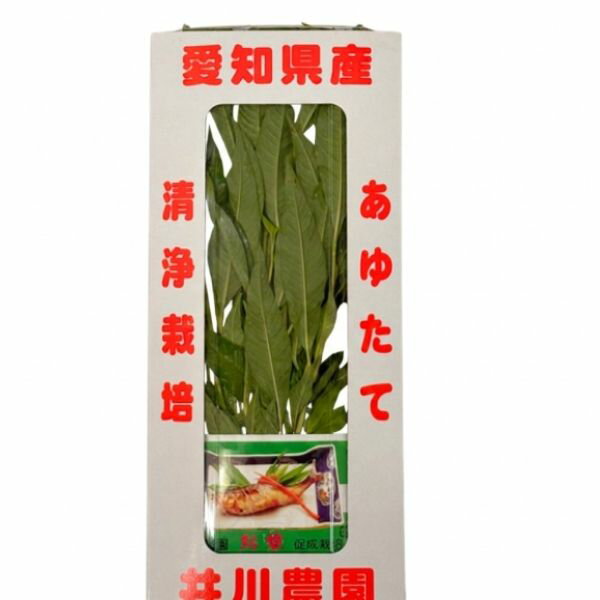あゆたで　1パック　愛知産