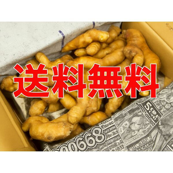 ＜箱売り＞　生姜（しょうが） 1箱（約4kg入り）中国産　＜業務用・大量販売＞