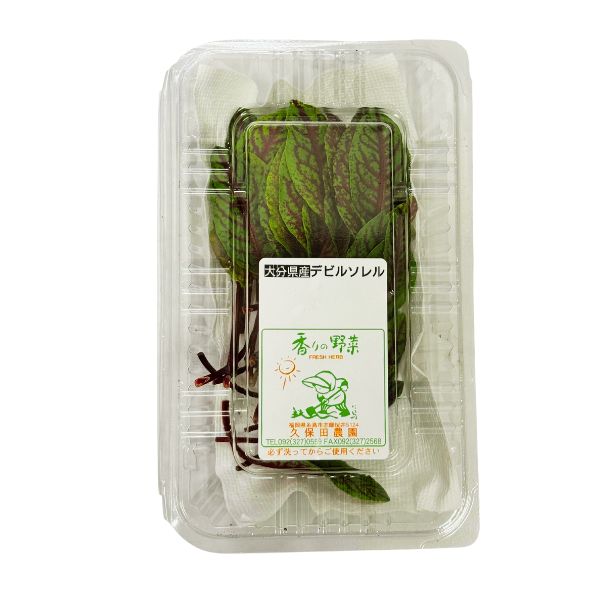 デビルソルト 1パック