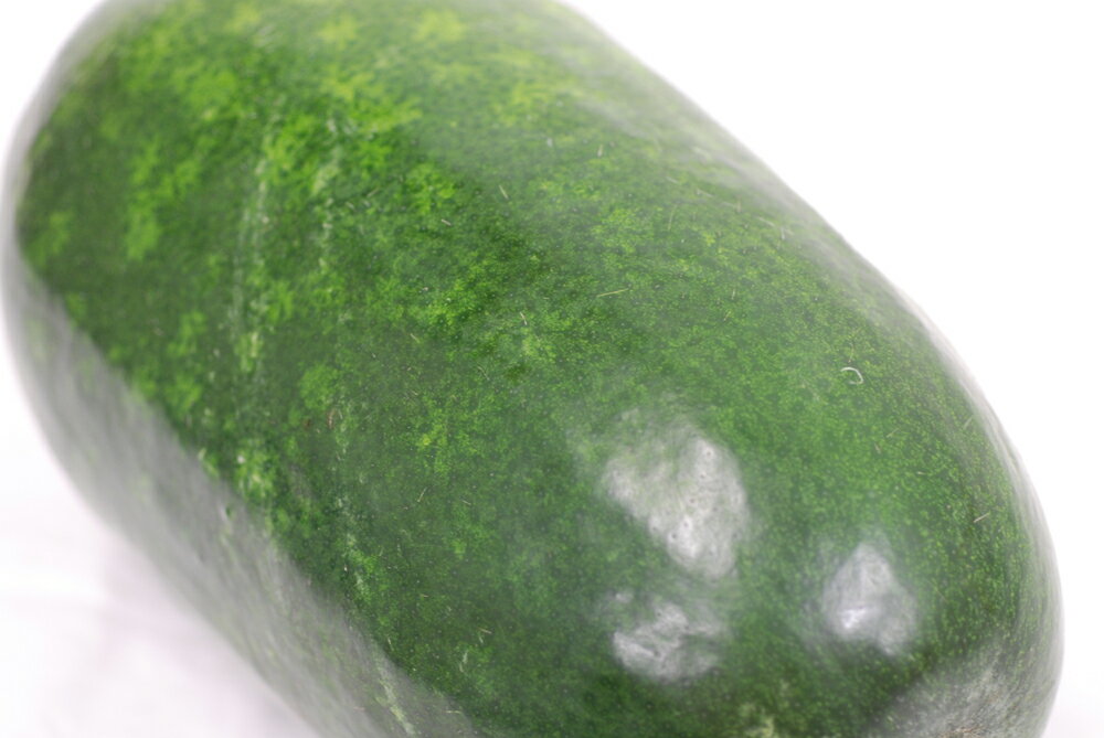 冬瓜(とうがん)3kg以上の大玉 1玉 国産(沖縄・岡山・愛知)