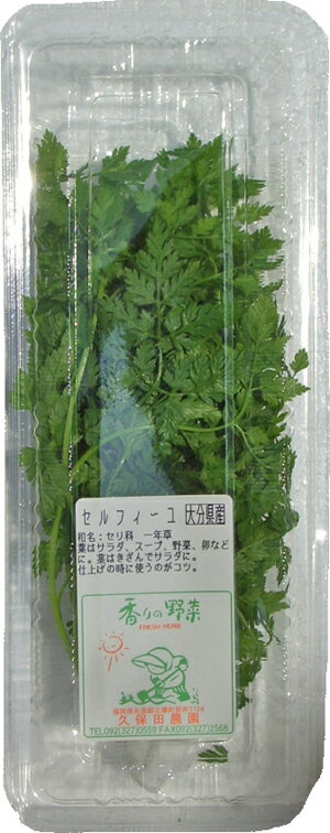 全国お取り寄せグルメ福岡その他の野菜No.15