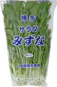 水菜（サラダミズナ・みずな）　1束約200g　福岡・九州産