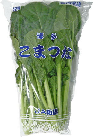 小松菜 250g 福岡県産