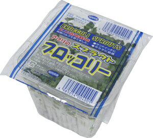 ブロッコリースプラウト 1パック 九州・福岡産
