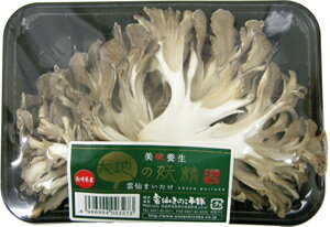 ＼LINE登録で20％OFFクーポン獲得／国産 まいたけ 粉末 100g 国産舞茸 まいたけ粉末 舞茸 粉末 ダイエット きのこ キノコ 出汁 だし 国産原料 無添加 農薬不使用 食物繊維 パウダー エルゴステロール ビタミンD マイタケ 送料無料 レビュー特典