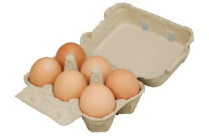 <卵> 九州産 輝黄卵 (玉子・たまご・卵・タマゴ) 6玉パック 福岡産・九州産 九州 たまご