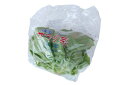 九州産　サラダ菜（バターヘッド）　1袋　サラダ野菜　九州の安心・安全な野菜！　【九州・福岡産】 その1