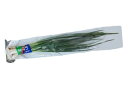 わけぎ(分葱) 1束 約100g 【広島産】...