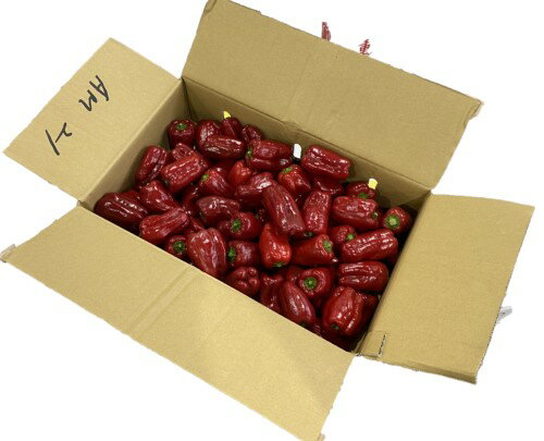 赤ぴーまん(レッドピーマン) 1箱2kg 国産