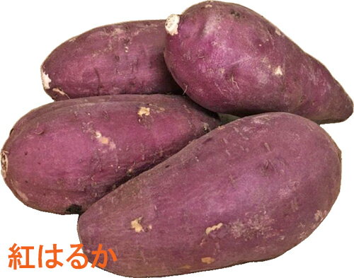 紅はるか　500g　九州産