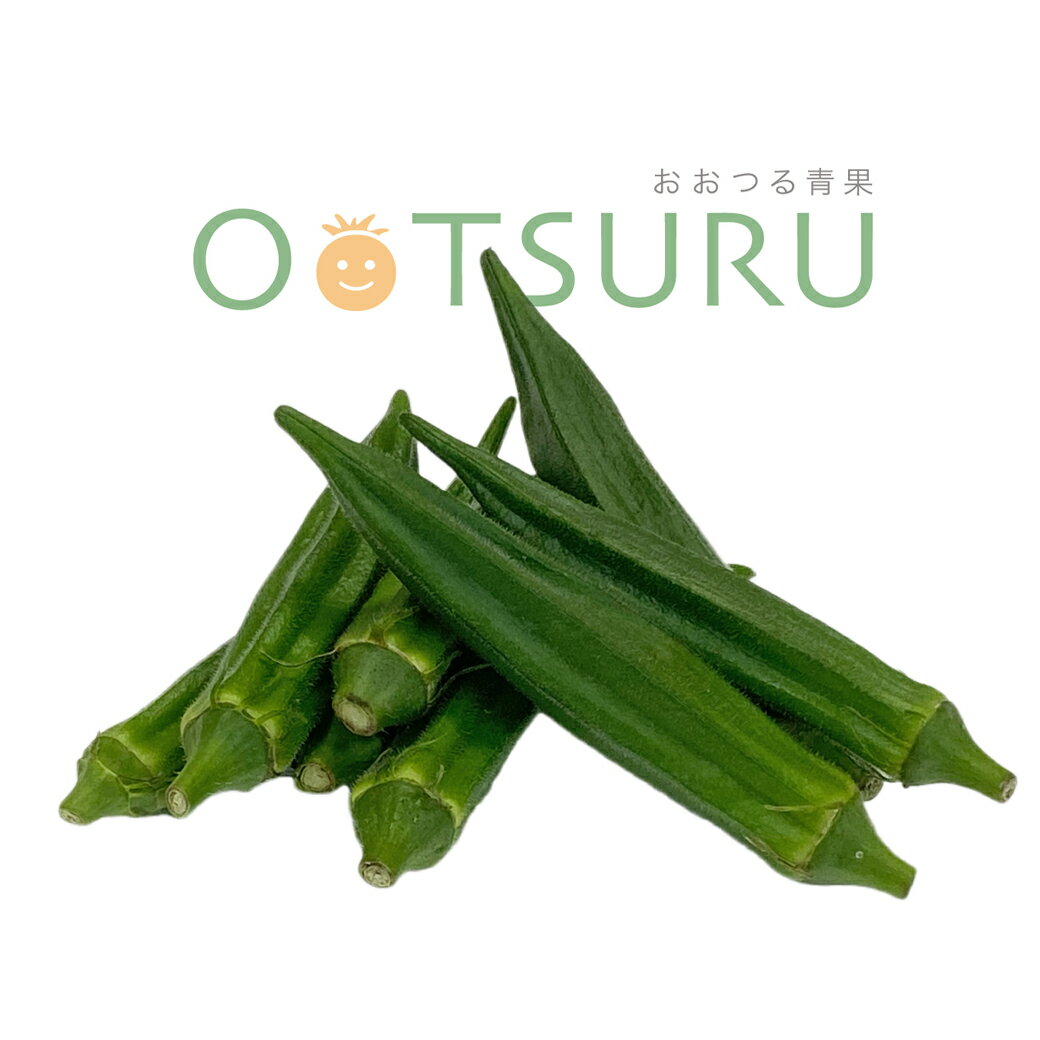 ＼7%OFFクーポン！ 5/9 20:00 ～ 5/16 9:59／ 九州産　おくら　（オクラ）　スタミナ野菜の定番！　　1パック　九州の安心・安全な野菜！【九州・鹿児島・熊本・長崎】