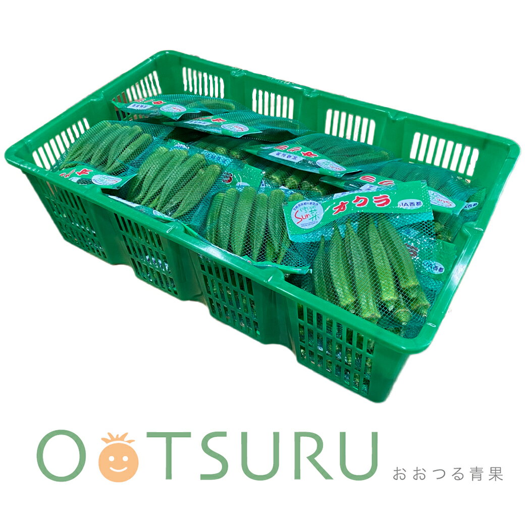 九州産　おくら　（オクラ）　スタミナ野菜の定番！　　1箱（40パック入り）　九州の安心・安全な野菜！＜九州・鹿児島・熊本・長崎＞