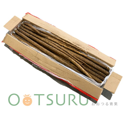 【最大7%OFFクーポン!5/16 9:59迄】 <中国産>牛蒡(ごぼう・ゴボウ)10kg 2L〜M 【最大7%OFFクーポン!5/16 9:59迄】 <中国産>牛蒡(ごぼう・ゴボウ)10kg 2L〜M