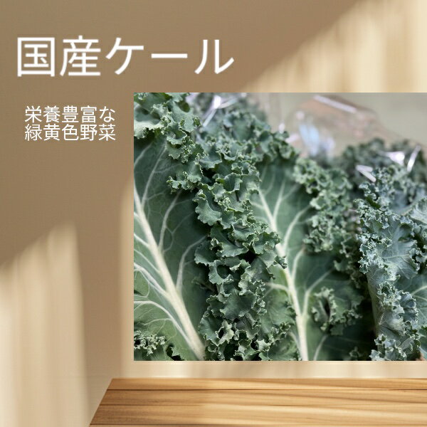 高知じゃが約10kg馬鈴薯ジャガイモ春掘り北海道沖縄は別途送料必要です