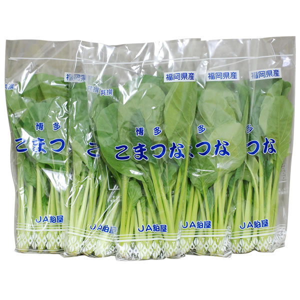 吉良食品 乾燥野菜単品 小松菜 80g 北海道・沖縄送料別 ドライベジタブル 熊本県 九州 こまつな 干し野菜 簡単 便利 時短 保存 国産 万能 安心 ストック