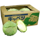 国産乾燥キャベツ 550g 国産乾燥野菜シリーズ エアドライ 低温熱風乾燥製法 九州産 熊本県産 みそ汁 フリーズドライ ドライベジタブル 保存食 非常食 長期保存