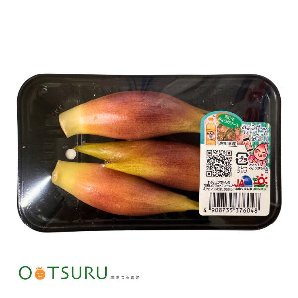 みょうがの甘酢漬け料理名：甘酢漬け作者：purinnsesuchan■材料（3人分）砂糖 / 大さじ3酢 / 大さじ4塩 / 小さじ1唐辛子 / 1本みょうが / 20個しょうが / 少々■レシピを考えた人のコメント我が家はすぐになくなってしまう1品です。詳細を楽天レシピで見る 簡単だから作ってみょうが♪『みょうがの醤油漬け』料理名：みょうがしょうゆ漬作者：ステッちゃん■材料（数人分）みょうが / 醤油（出来れば、「昆布醤油」） / ■レシピを考えた人のコメントたくさんみょうがをいただいた時に、姉に教えてもらったレシピです。超簡単な常備食なりました。お弁当の片隅に、シャキっといかがですか？詳細を楽天レシピで見る 蕪とみょうがの塩もみ料理名：浅漬け作者：さちくっかりー■材料（2人分）かぶ / 3個〜みょうが / 1個塩 / 適宜顆粒出汁 / 適宜■レシピを考えた人のコメントすぐに食べられるので、とても便利！美味しいですよ〜(^_-)-☆詳細を楽天レシピで見る爽やかな香りとシャキッと食感。薬味の名脇役みょうが 国産 みょうが 1パック 料理を引き立てる爽やかな香味野菜 みょうがは、爽やかな香りと独特の風味が魅力の香味野菜です。 刻んで薬味として添えるだけで、料理をさっぱりと上品な味わいに仕上げてくれます。 シャキシャキとした食感も楽しめるため、冷奴やそうめん、味噌汁、和え物など幅広い料理におすすめです。 みょうがの魅力 🌸 爽やかな香り 清涼感のある香りが料理の美味しさを引き立てます。 🍚 幅広い料理に活躍 薬味はもちろん、天ぷらや甘酢漬け、サラダにもおすすめです。 🌱 シャキシャキ食感 みずみずしく歯切れの良い食感をお楽しみいただけます。 おすすめのお召し上がり方 ・冷奴の薬味に ・そうめんやうどんの薬味に ・味噌汁や吸い物に ・甘酢漬け ・天ぷら ・サラダや和え物 商品情報 商品名 みょうが 内容量 1パック 産地 国産（主に高知県産） 特徴 爽やかな香りとシャキシャキ食感 保存方法 冷蔵保存 💧 新鮮なみょうがを厳選してお届けいたします。 香り豊かな旬の味覚をぜひご家庭でお楽しみください。 ※生鮮品のため、大きさや色味に個体差がございます。 ※入荷状況により産地が変更となる場合がございます。 ※主な産地は高知県産ですが、時期により国産他産地となる場合がございます。