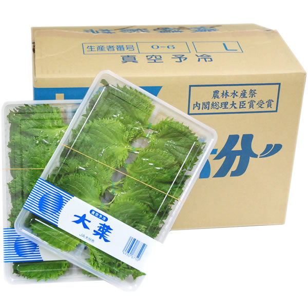 【箱売り】　大葉（青ジソ・しそ）　1箱（100枚入り1p×20p：計2000枚）　【業務用・大量販売】【RCP】