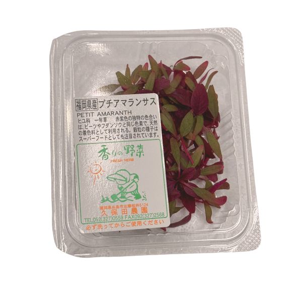 プチアマランサス1パック　国産