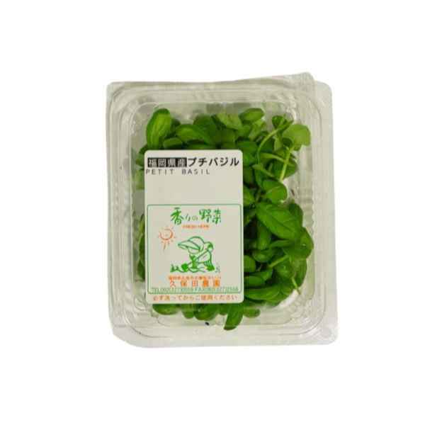 プチバジル 1パック《ハーブ》