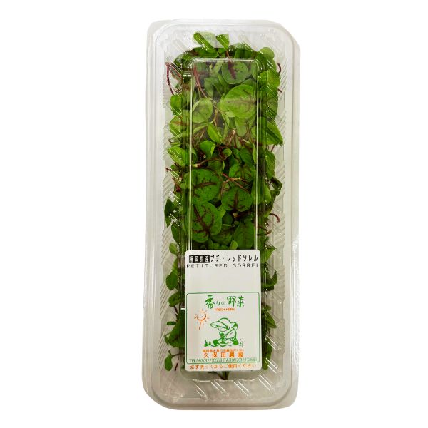 プチレッドソルト 1パック