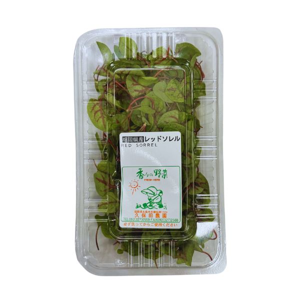 レッドソレル 1パック