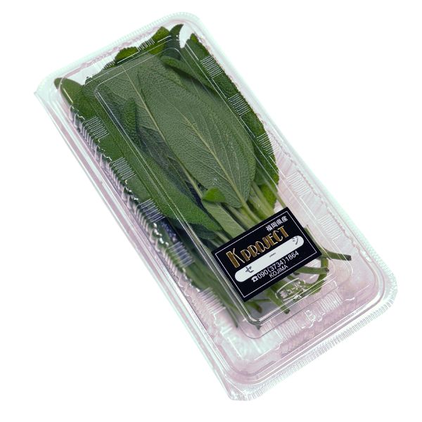 セージ　1パック　国産