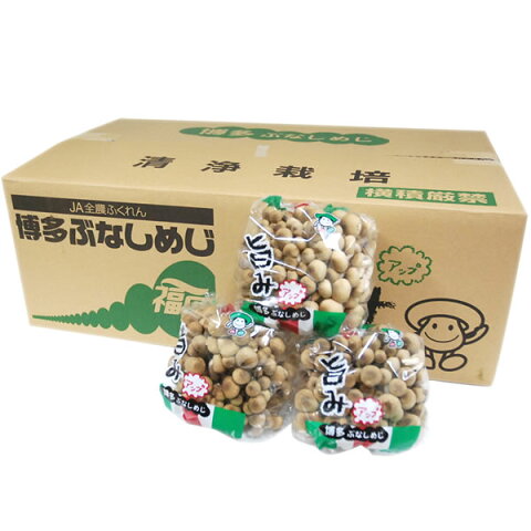 【箱売り】　しめじ（シメジ）　1箱（約200g×30袋入り）　福岡産　【業務用・大量販売】【RCP】