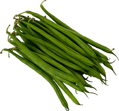 <高知産> すじなしいんげん豆(インゲンマメ・豆・まめ) 100g