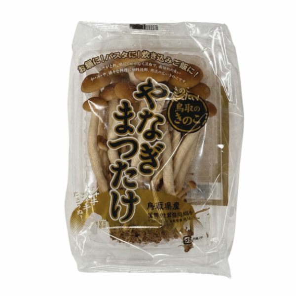 乐天商城 - やなぎまつたけ　1p　鳥取