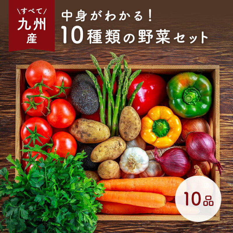 なかみが分かる 九州野菜セット《早生きゃべ、玉ネギ、なす、とまと、じゃが芋、リーフ、えのき、しめじ、青葱、小松…