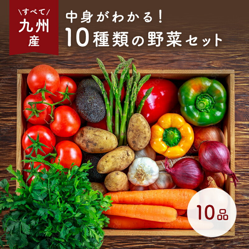 なかみが分かる 九州野菜セット《早生きゃべ、玉ネギ、なす、とまと、じゃが芋、リーフ、えのき、しめ..