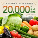 なかみが分かる 九州野菜セット《早生きゃべ、玉ネギ、なす、とまと、じゃが芋、リーフ、えのき、しめじ、青葱、小松菜》