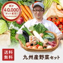 九州野菜セット 旬の野菜詰め合せ<送料無料>おまかせ詰め合わせセット!人気のセット!西日本<セット> 野菜 野菜セット 野菜詰め合わせ 詰め合わせ やさい