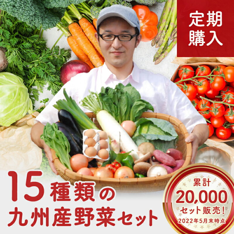 【ふるさと納税】〈3ヶ月定期便〉旬の野菜8~10品目&加工品1~2品目セット 農業王国 鉾田市