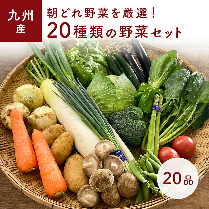 「あす楽」20品野菜セット おまかせ　九州野菜セット　20品 旬の野菜詰め合せ・おまかせ詰め合わせセット！　人気の…