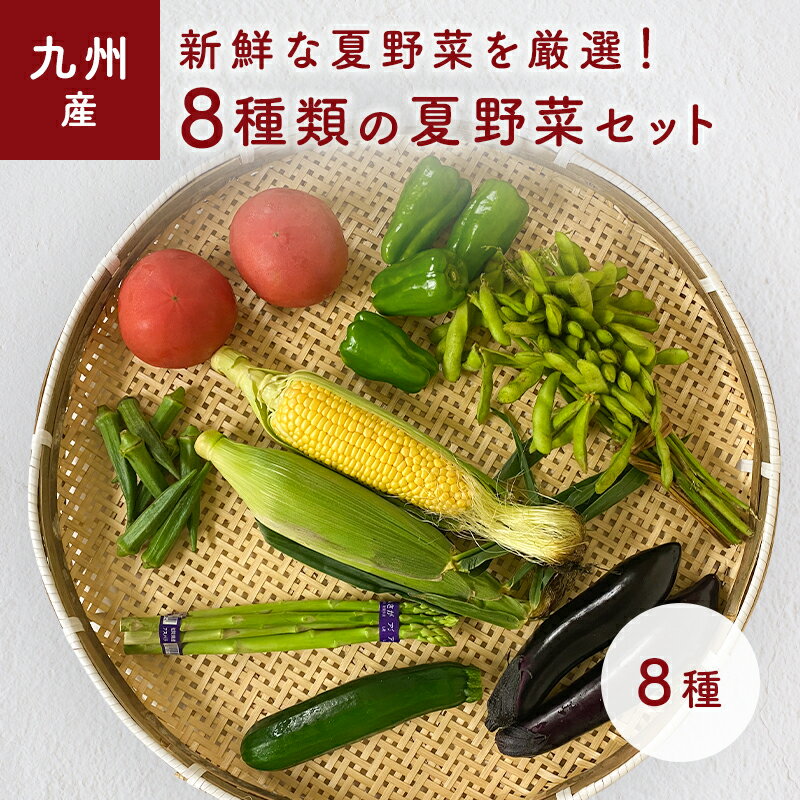 夏野菜セット