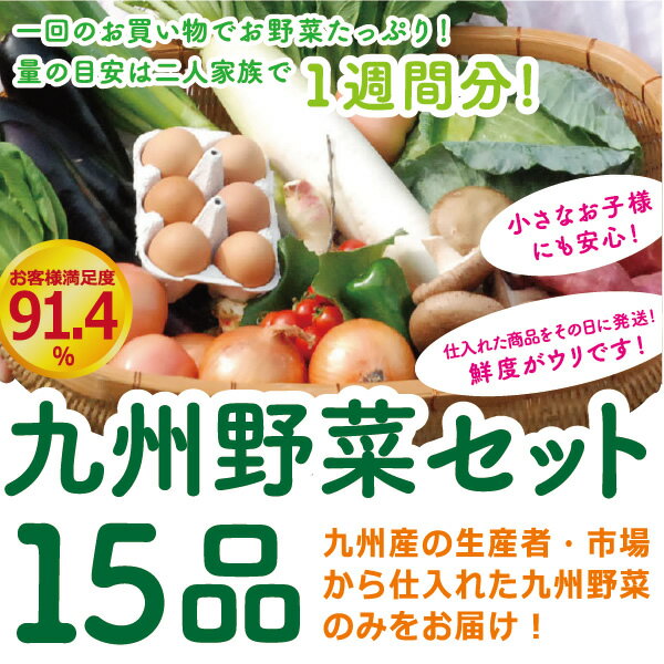 【あす楽】【セット】　おまかせ　九州野菜セット　15品 旬の野菜詰め合せ・おまかせ詰め合わせセット！　人気のセット！　【送料無料】