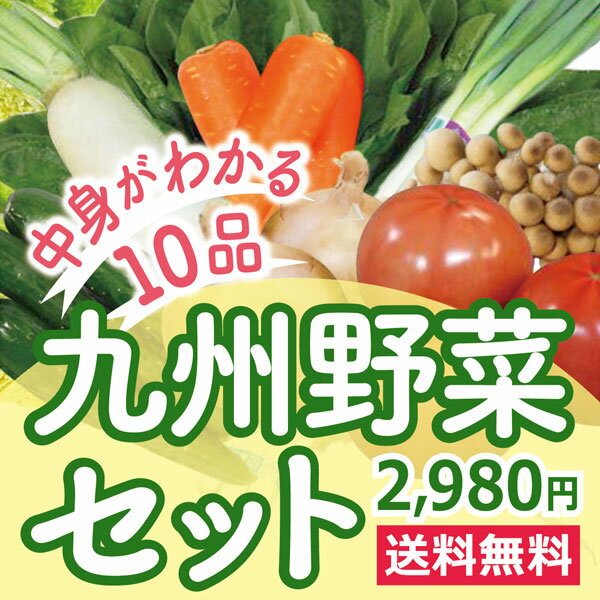 なかみが分かる 九州野菜セット《さつま芋・きゃべつ、エリンギ、レンコン、しめじ、ベビーリーフ、小松菜、卵、レタス、インゲン豆》　九州産の旬の野菜セットますます便利に！　お客様に支持され人気No、1