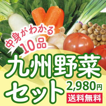 なかみが分かる 九州野菜セット《きゃべつ・ピーマン・なす・エリンギ・小松菜・きゅうり・とまと・さつま芋・しめじ・水菜》　九州産の旬の野菜セットますます便利に！　お客様に支持され人気No、1