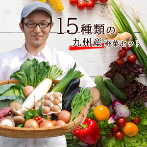 新鮮！九州のお野菜をたっぷり詰め込みました！九州野菜セット！